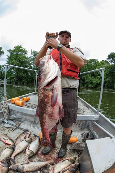 A biologist weighs a bighead carp. - PHOTO BY RYAN HAGERTY/U.S. FISH AND WILDLIFE SERVICE