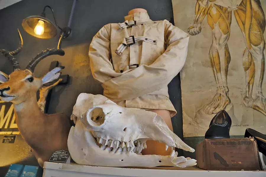 A vintage straight jacket is among the wonders at Cleveland Curiosities.