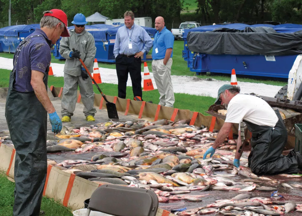 Fish-sorting and disposal operations after rotenone poisoning in May, 2010. - PHOTO BY LT. DAVID FRENCH./U.S. COAST GUARD