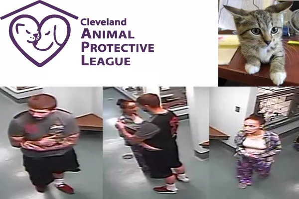Help Identify Two Jerks That Stole A Kitten In Critical Need Of Medication From The Cleveland Apl Scene And Heard Scene S News Blog