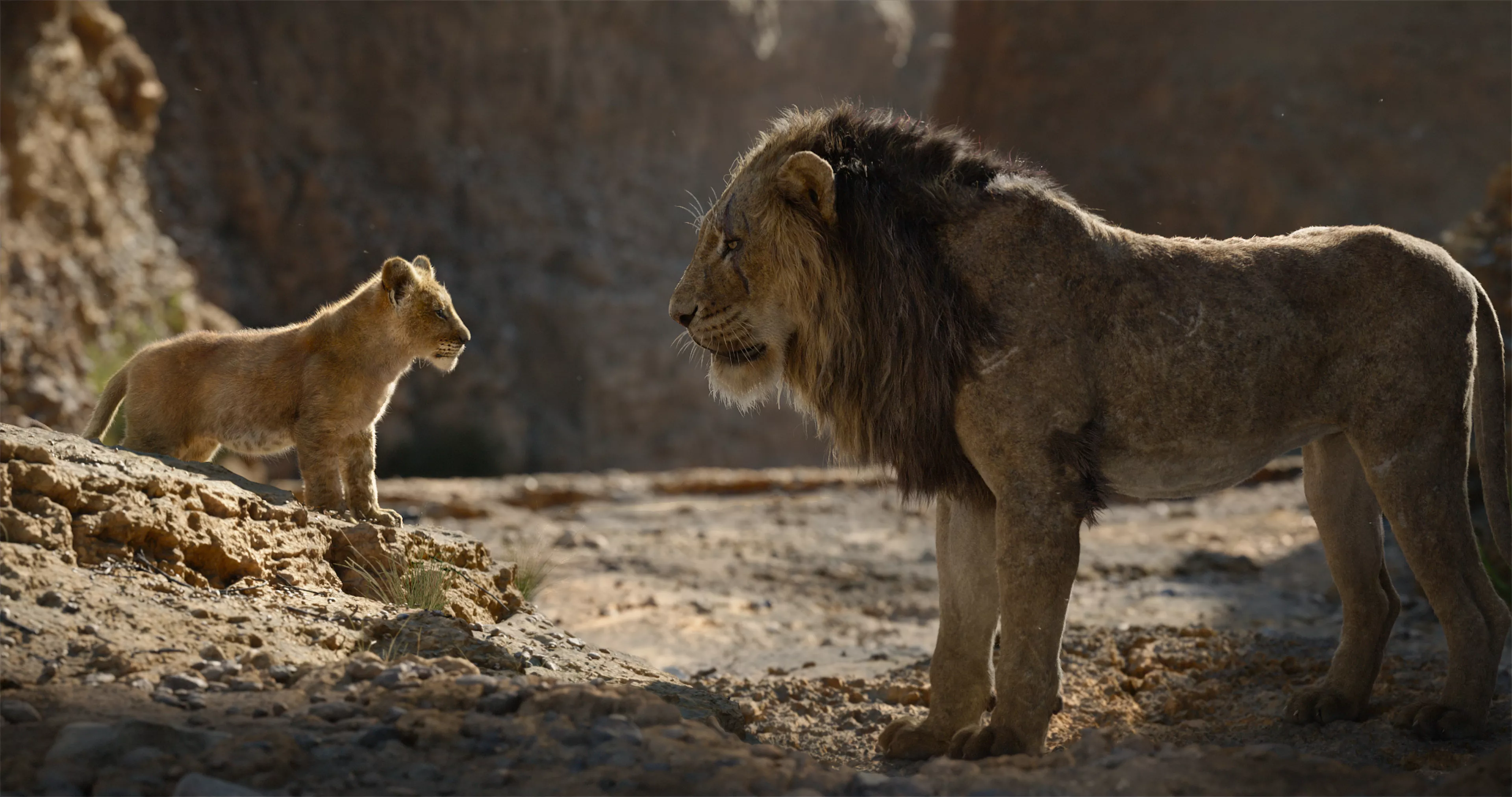 Lion King Harshest Reviews