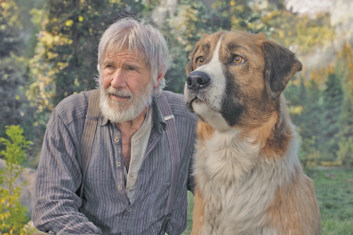 Harrison Ford Cgi Dog Star In New Adaptation Of Call Of The Wild Film Features Cleveland Cleveland Scene