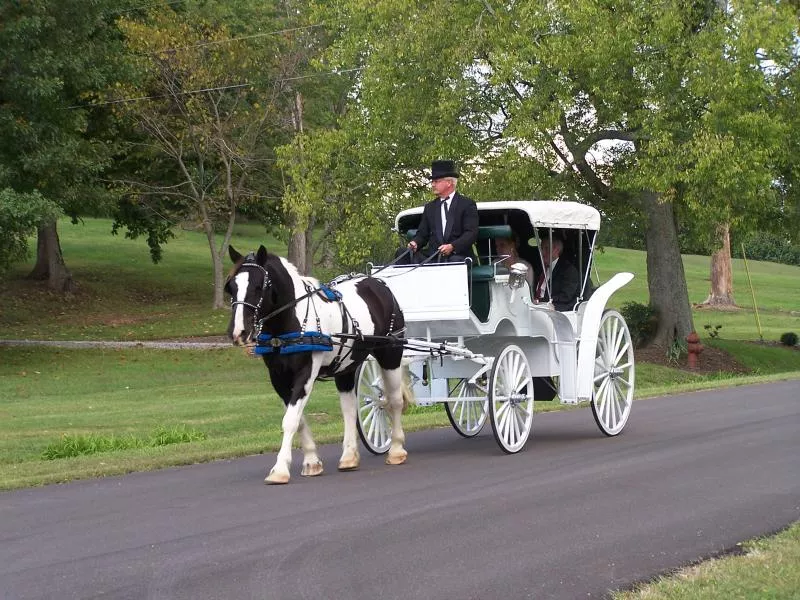 Cleveland Cultural Gardens to Host Holiday Carriage Rides in December