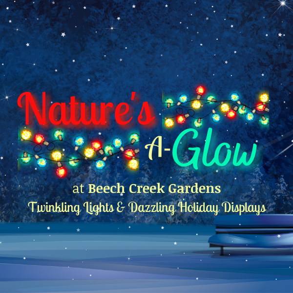 Nature's A-Glow - Vimarsana News