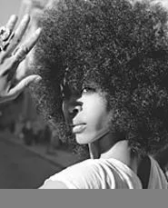 Wigging out: Erykah Badu has swapped her - trademark headwrap for a blowout 'fro.