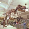 1390791.t.jpg