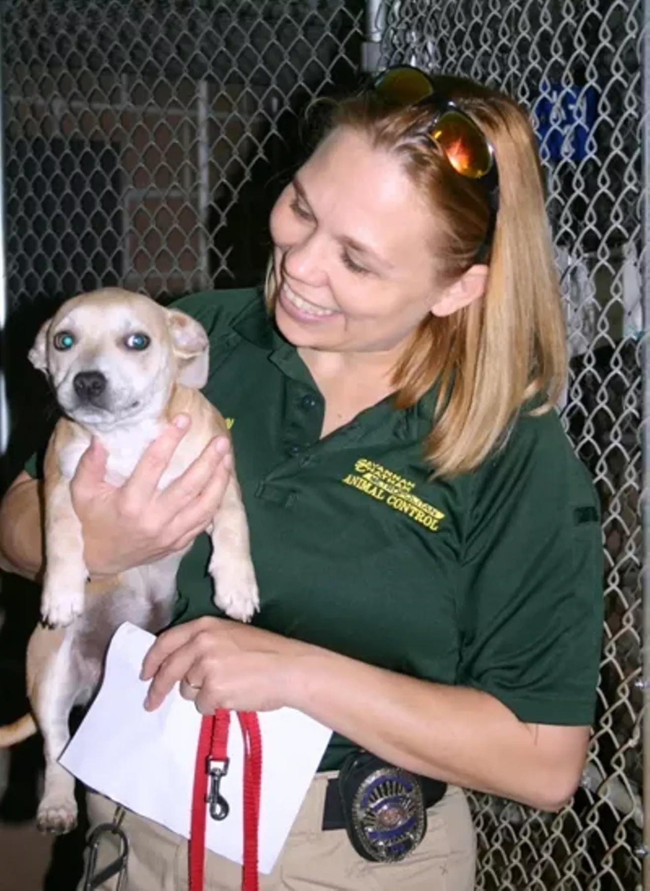 Craigslist Atlanta S Farm Animal Haven A Sanctuary For Animals And Their Families - xfw7f39
