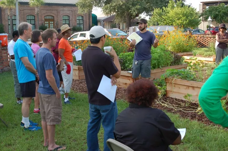 At the CRI Healthy Garden at Trustees' Garden, some of the volunteer gardeners find they are not the only newcomers. Then, making new friends is enjoyable as digging and planting.
