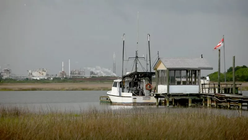 Chris Hannat’s short film, Before Too Long, examines the deteriorating ecological status of the Savannah River.