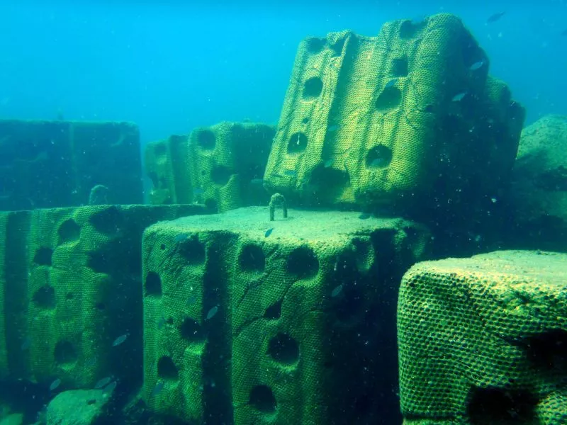 ECOncrete, a type of concrete that reduces harm to marine life, is an example of a working solution.