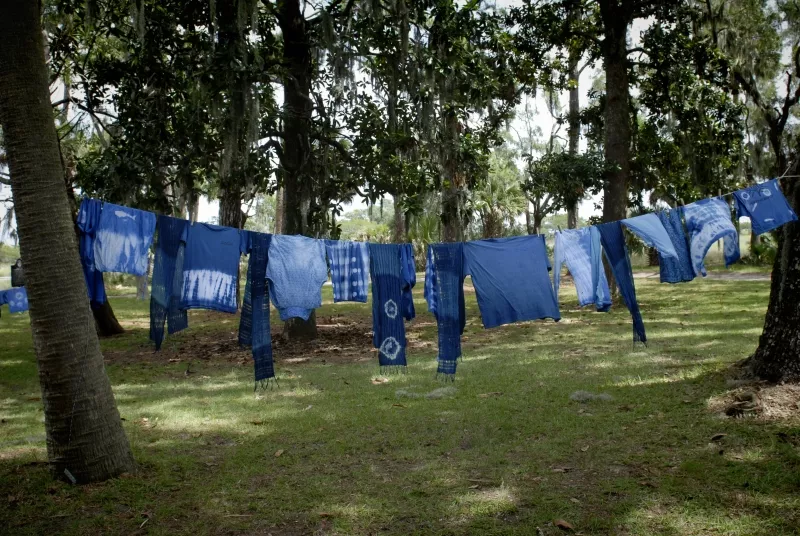 Fifty shades of blue: The dye from Ossabaw Island's heritage indigo plants yields a 'bright and vibrant' shade that's different from other types. - HEATHER K. POWERS