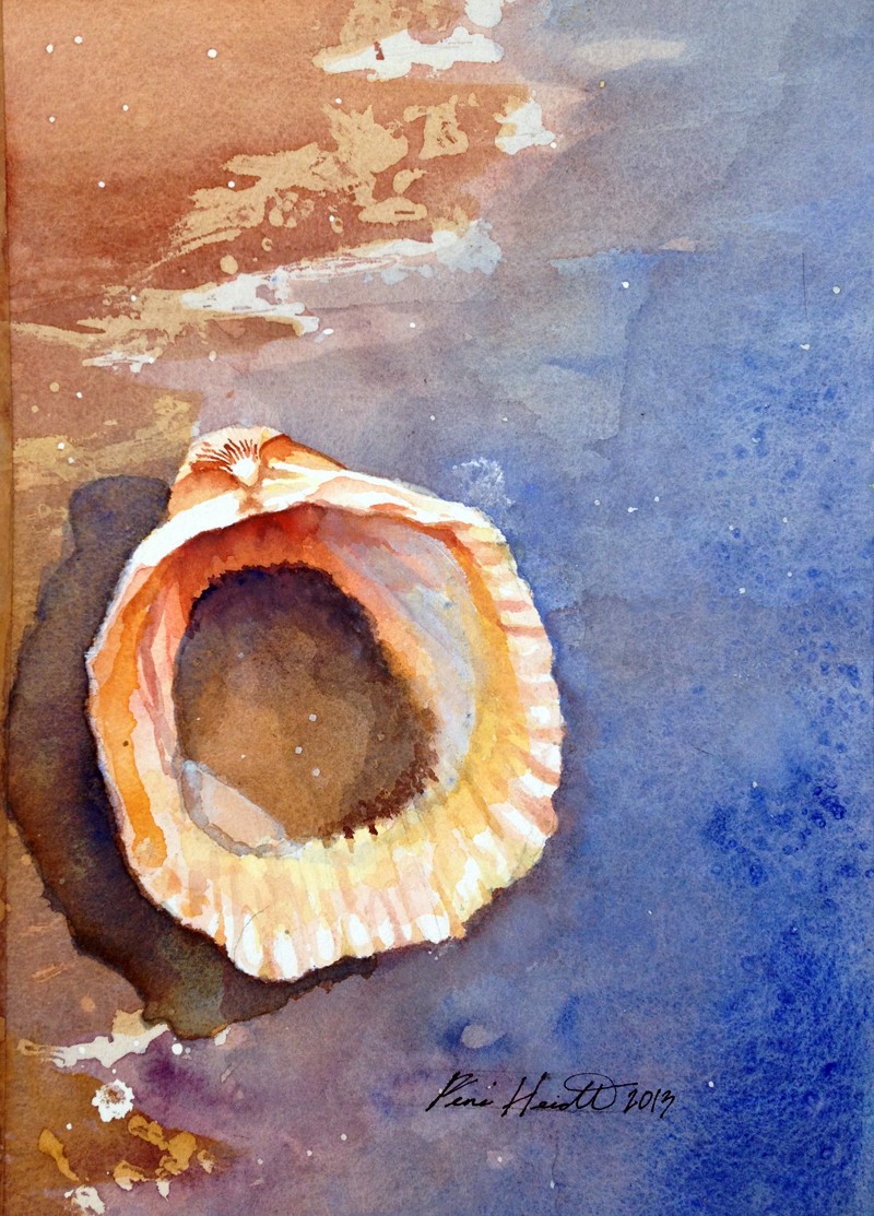 Heidt’s watercolor “Giant Atlantic Cockle” is showing currently in the “Art of Georgia Exhibit” in the executive offices of the Georgia State Capitol.
