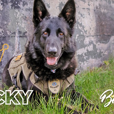 K9 ROCKY: Best Police Officer and Best Islands Resident