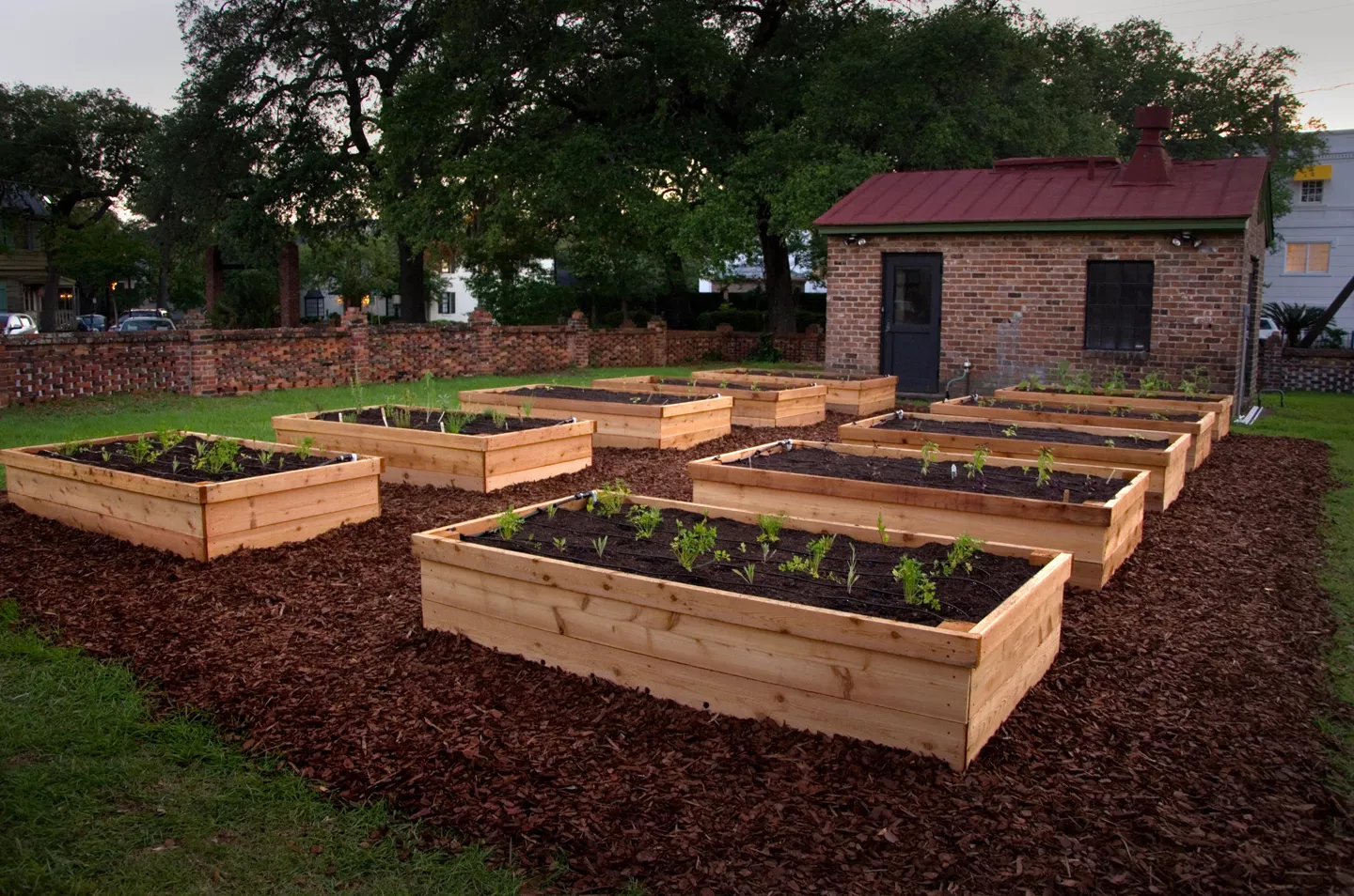 Raised beds at Trustees' Garden are reminiscent of the early use of the land as the nation's first agricultural experiment station. The beds are made with durable, insect- and rot-resistant western red cedar.