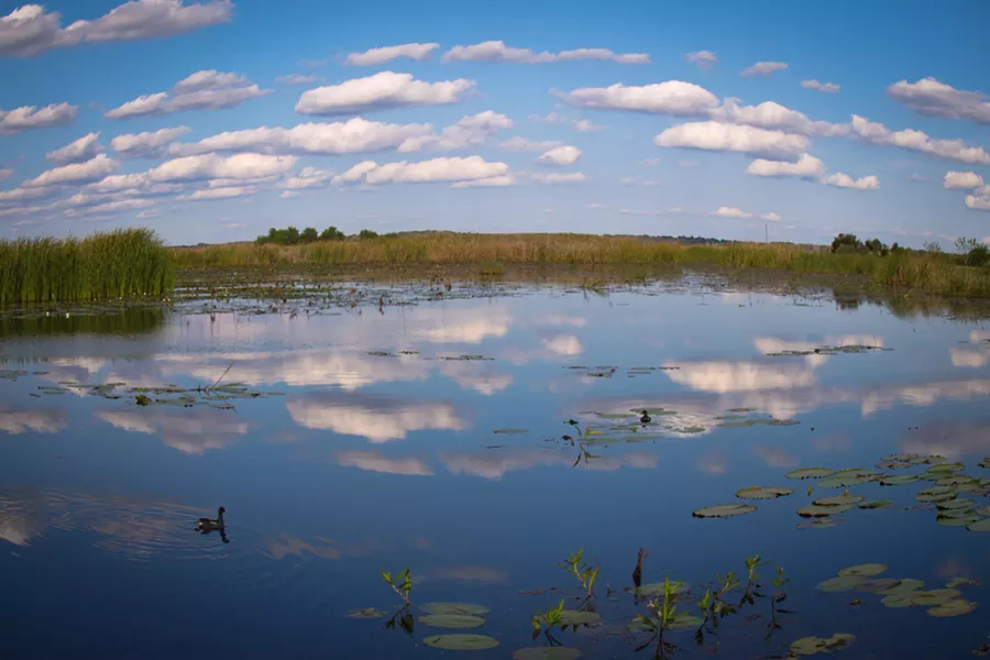 Savannah NWR - JON WAITS/@JWAITS