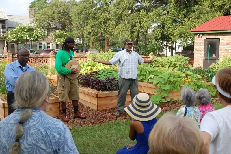 The Canyon Ranch Institute Healthy Garden at Trustees’ Garden is a hands-on experience for experienced and novice gardeners. Growing vegetables and herbs, sharing the produce, and making new friends promote health literacy in the community.