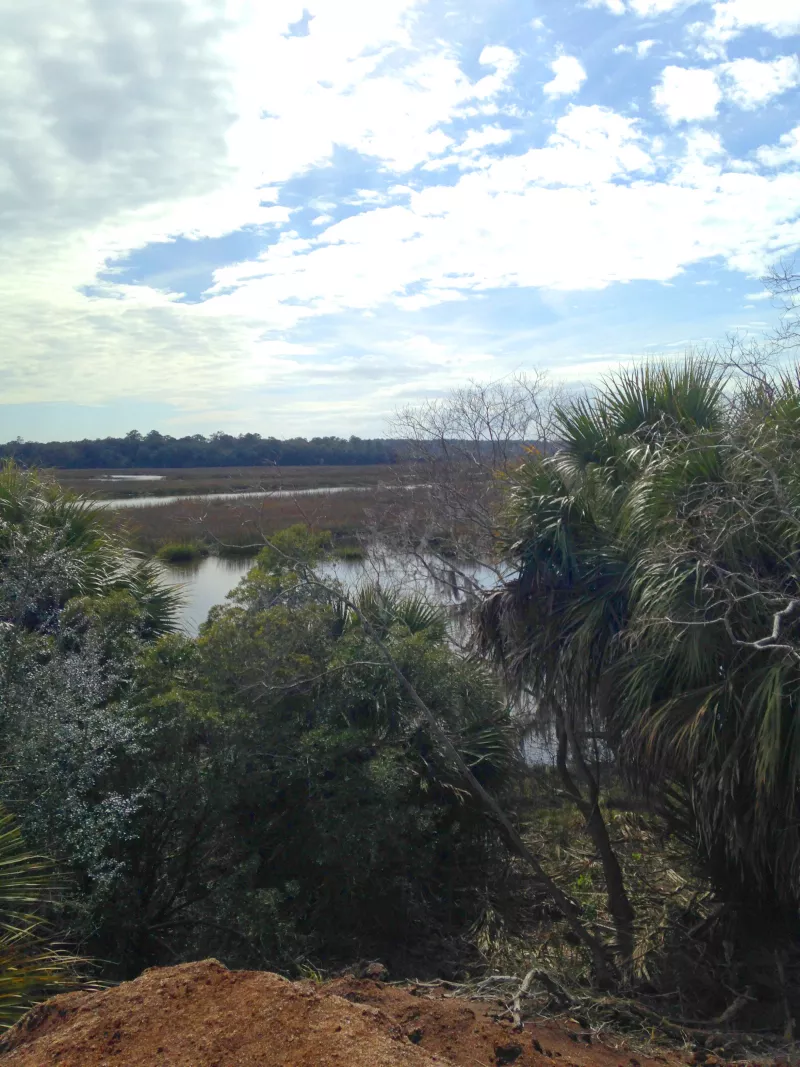 The majestic marshes and maritime forests of Ossabaw Island remain some of Georgia’s last wild places.