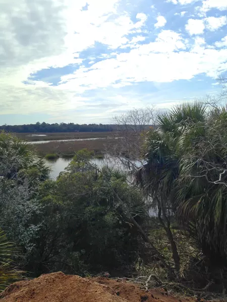 The majestic marshes and maritime forests of Ossabaw Island remain some of Georgia’s last wild places.