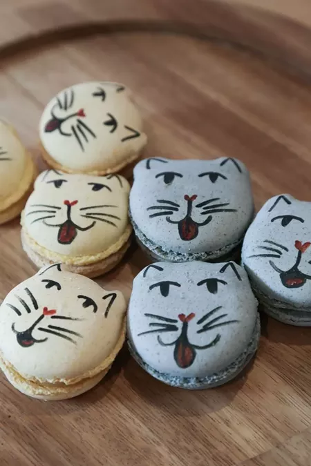  Pounce  Cat Cafe For the love of coffee and kitties 