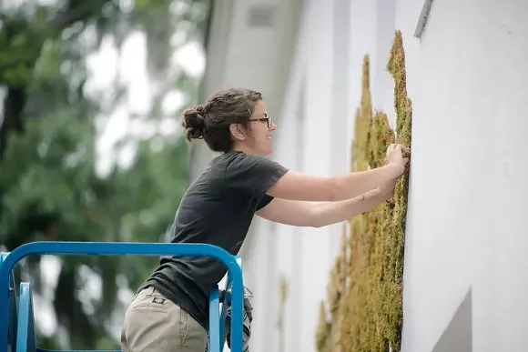 Artist Jamie Bourgeois designed the fern and fauna motif on the façade of Judge Realty to help commemorate 10 years in business and champion the cause of public art in Savannah. - DYLAN WILSON