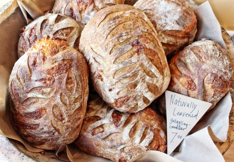 Naturally leavened Yuengling Lager and Cheddar bread is a labor of love, taking 24-hours from start to finish.