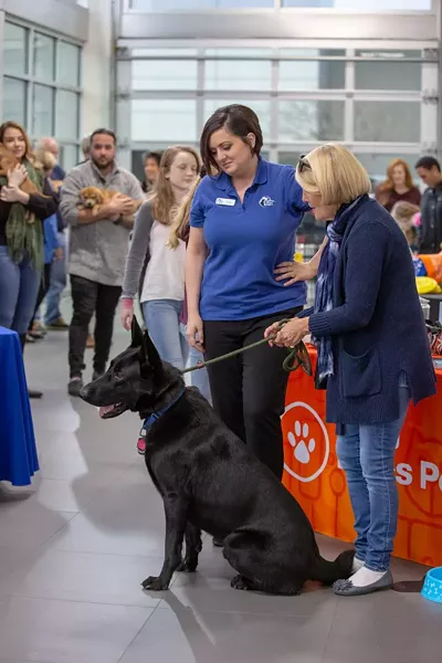 puppy_bowl-ds3a0997.jpg