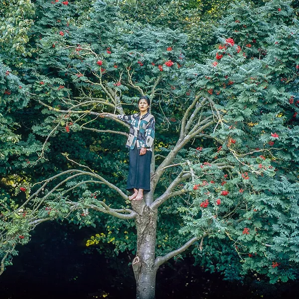 Ingrid Pumayalla's "Exercise to Climb a Tree," from her "Nuna" series.
