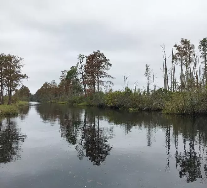 civil-swamp4-12.jpg