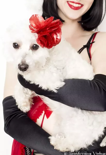 The Ho Ho Holiday show benefits The Humane Society of Savannah. - LAVENDER HAZE