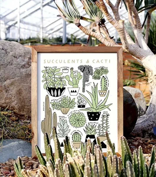 kristen_drozdowski-succulents_and_cacti_styled.jpg