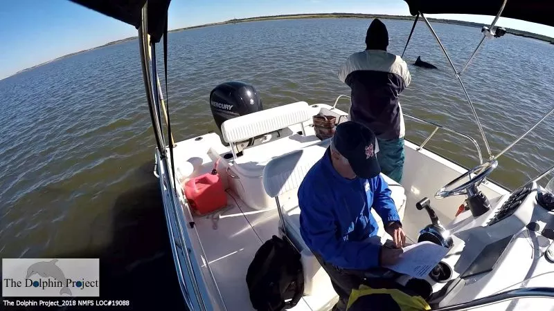 THE DOLPHIN PROJECT 1028 NMFS LOC#19088