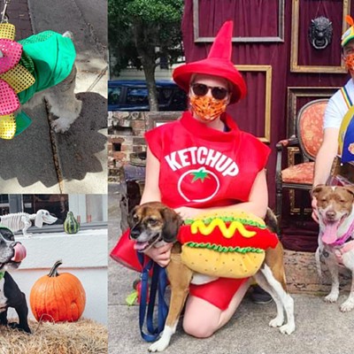 WAG-O-WEEN: Annual pup trick-or-treating event goes to the dogs