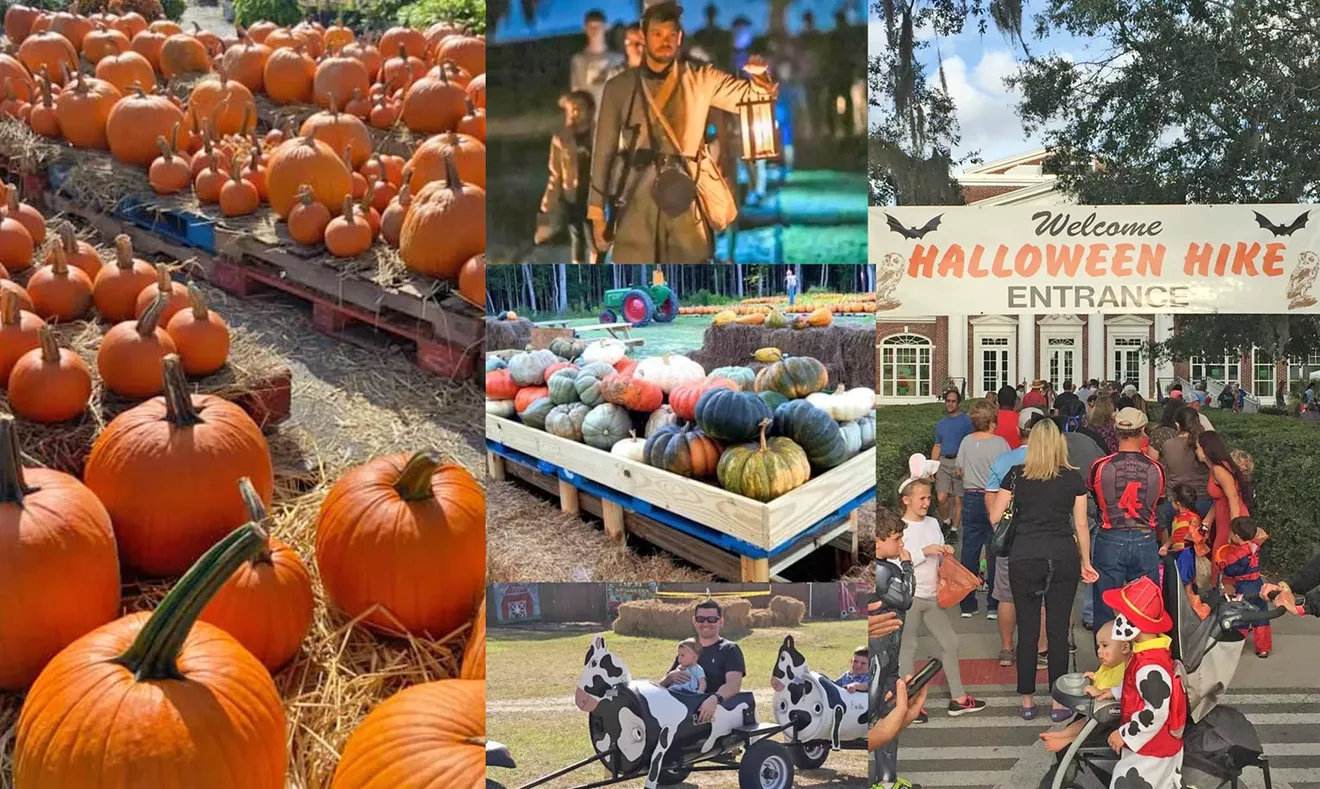 FALL FUN GUIDE: Pumpkin patches, corn mazes, haunted houses, oh my! - Vimarsana News