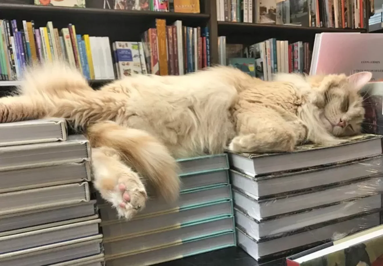 WHAT ARE WE READING? - Vimarsana News