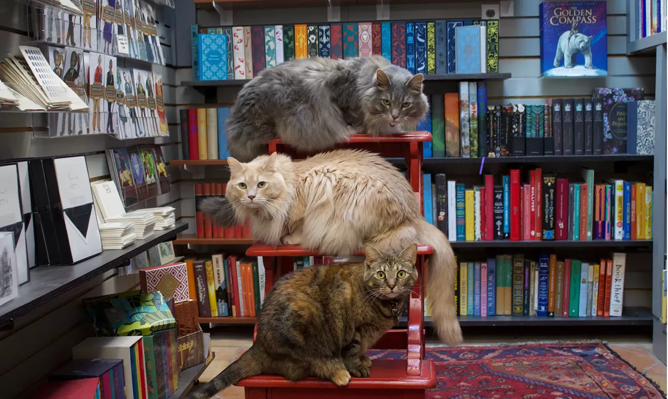 WHAT ARE WE READING? Books of the Week - Vimarsana News