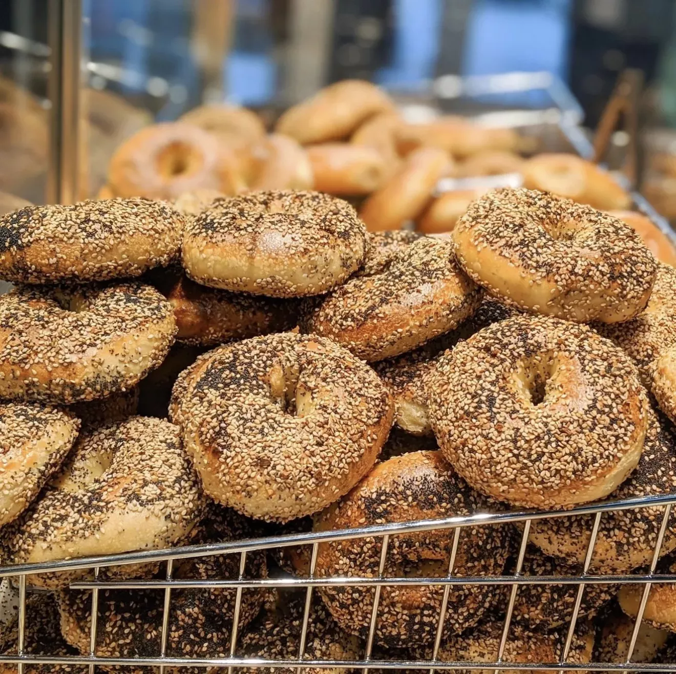 EAT IT AND LIKE IT: New bagel shop set to open in downtown Savannah - Vimarsana News