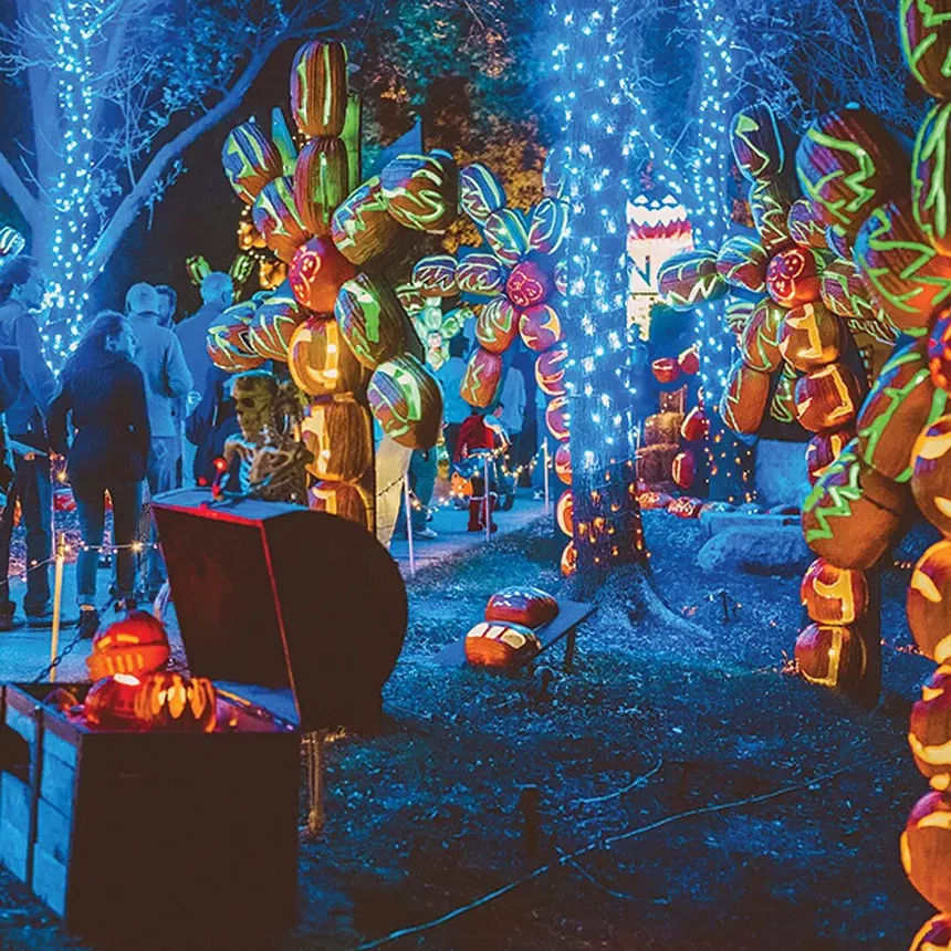 Some say pumpkins are bad for the environment, but what isn't? Howell Farms Pumpkin Nights takes place this week. - ZACH MILLER