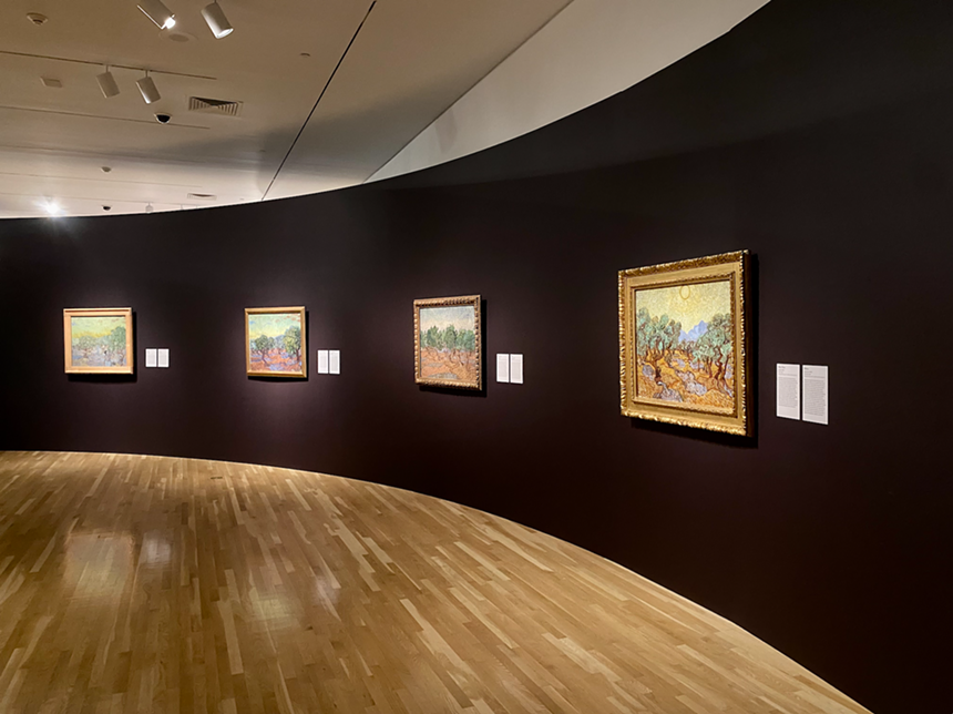 The first room at the Van Gogh and the Olive Groves exhibition shows his "summer' series of olive grove paintings. - PAIGE WEAVER