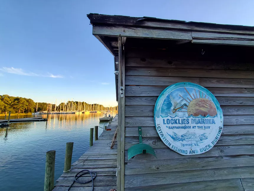 The view from the dock in Virginia where oysters make their first stop before heading on a place to Denver. - MOLLY MARTIN