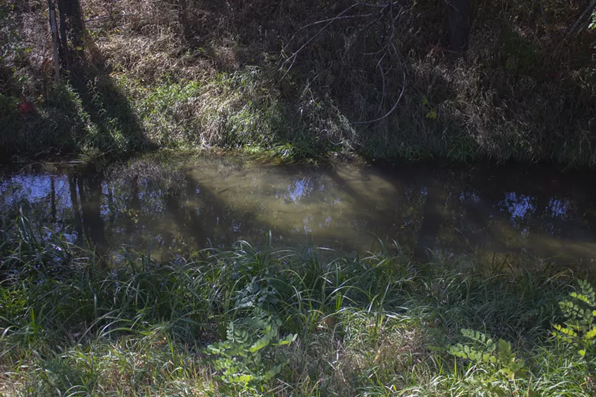 Common Name sources its water from an irrigation ditch connected to Clear Creek; Trudy and Terol Shelley's grandfather dug the ditch. - CLAIRE DUNCOMBE