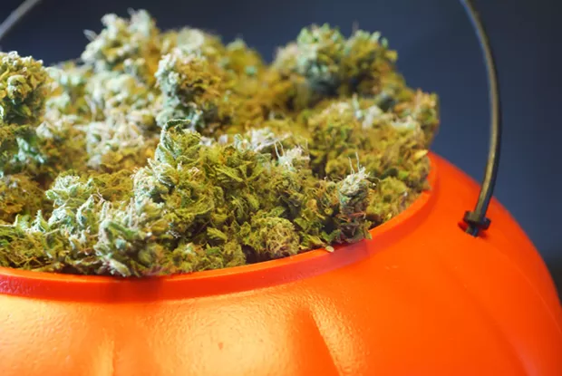 Marijuana edibles warnings before Halloween have become a seasonal alarm as pot legalization spreads. - ISTOCK/SMILEITSMCCHEEZE