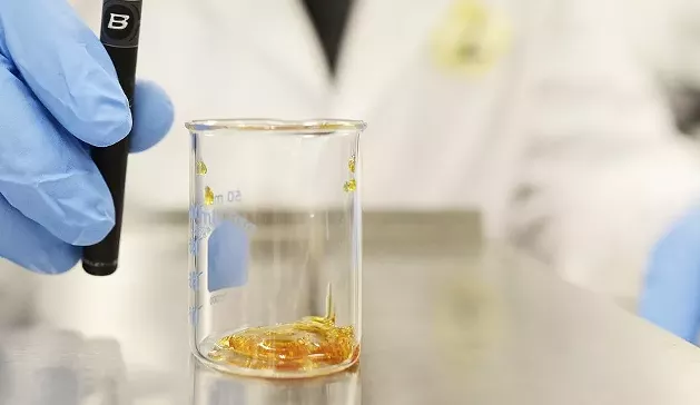 THC distillate doesn't have terpenes, so judging quality is different than with other concentrates. - SCOTT LENTZ
