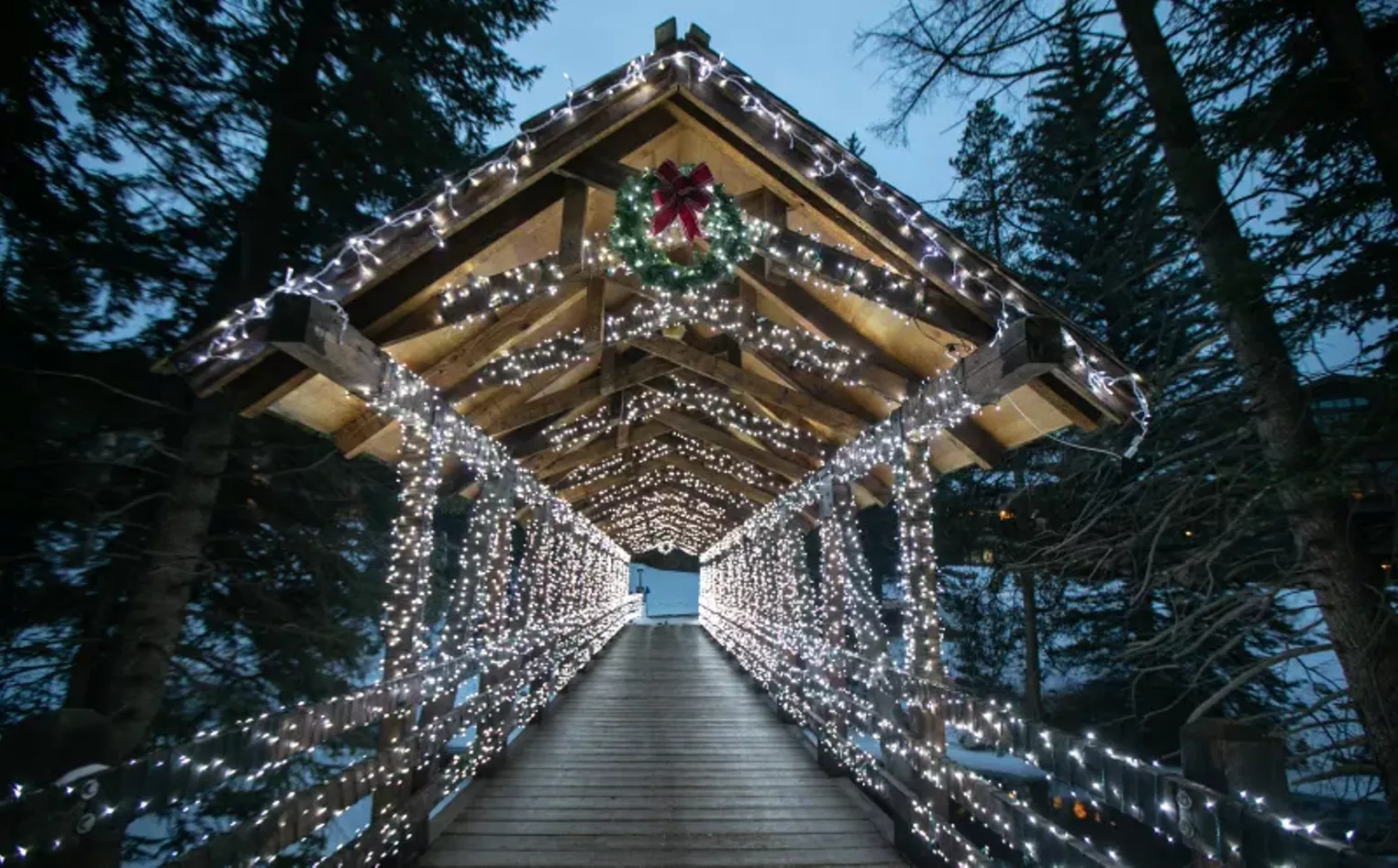 Magic of Lights Vail, a family-friendly interactive experience, returns Nov. 19-Jan. 2 - Vimarsana News