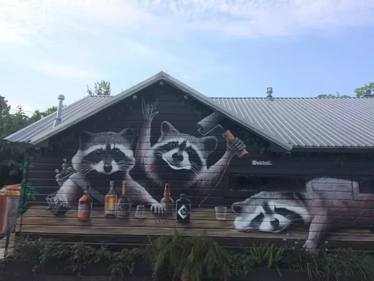 These trash pandas look ready for a pop-up. - PHOTO BY LORRETTA RUGGIERO