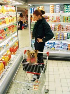 Amy with her dog, Lucy, at a grocery in Paris, where dogs are allowed in stores. About this photo she wrote on her blog: “Before anybody starts mewling about how awful it is that she’s in the grocery store, note that sheâ? - PHOTO BY GREGG SUTTER