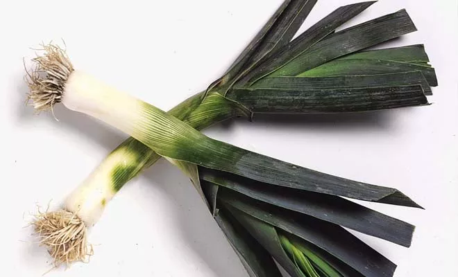 Leeks, onions, shallots and scallions make up the core of Creamy five lilies soup. - PHOTO BY NICK KOON/MCT