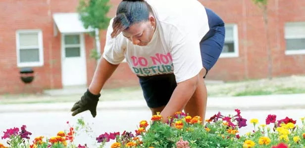 Johanna Cannon weeds a community garden in Akron, Ohio. Urban gardeners help make their neighborhoods more beautiful by transforming vacant lots. - PHOTOS BY ED SUBA, JR/MCT