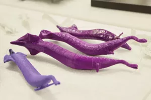 These 3-D printed models of the Tully monster were created by the Illinois State Museum Research and Collections Center in Springfield. - PHOTO BY PATRICK YEAGLE