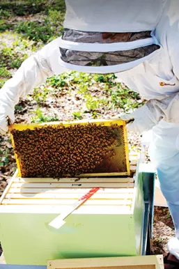 Brothers Seve and Gage recently got their own hives to care for and harvest. - PHOTO BY JENNIFER AHOLT