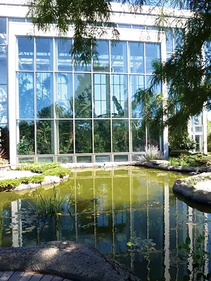 The 6,444-square-foot indoor building at the Quad City Botanical Garden in Rock Island is one of the area's highlights. Visitors must have a reservation and wear masks while indoors. - PHOTO BY BRENT BOHLEN.